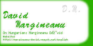 david margineanu business card